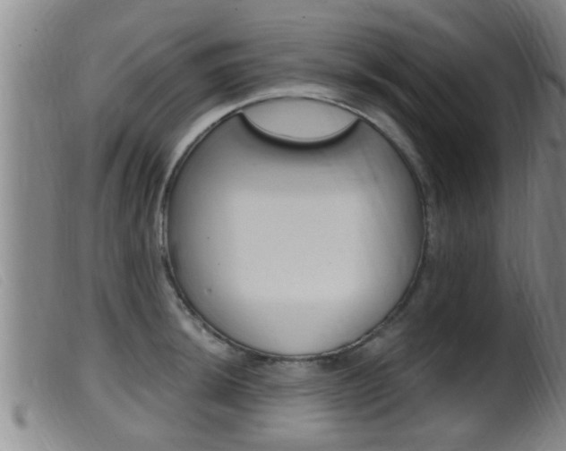 X0000099951044200805230957