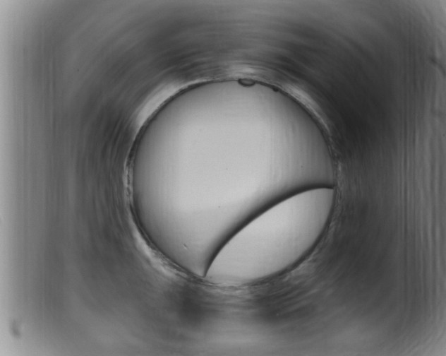 X0000099951047200805230957