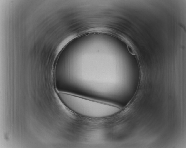 X0000099951050200805230957