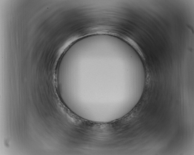 X0000099951051200805230957