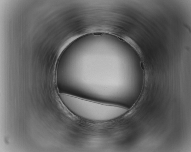 X0000099951052200805230957