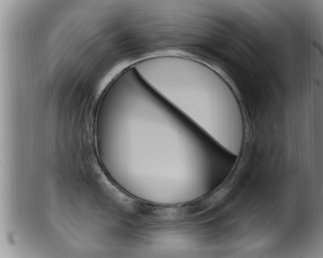 X0000099951054200805230957