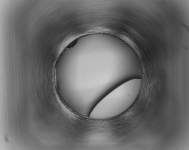 X0000099951055200805230957