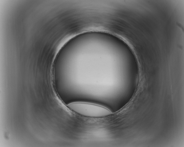 X0000099951056200805230957
