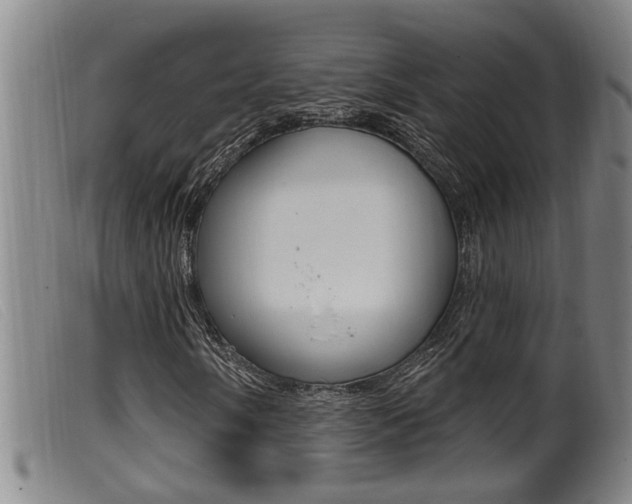 X0000099951058200805230956