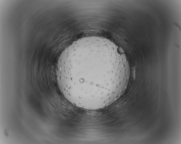X0000099951059200805230956