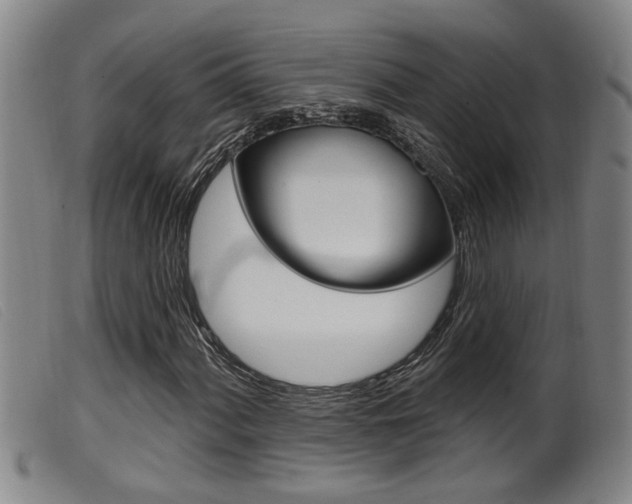 X0000099951060200805230956