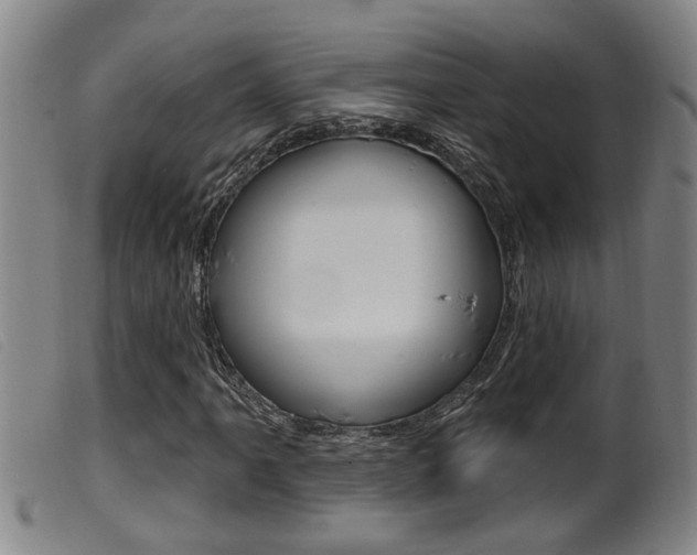 X0000099951061200805230956