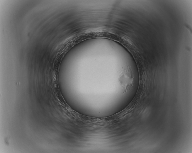 X0000099951062200805230956