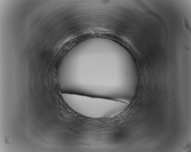 X0000099951063200805230956