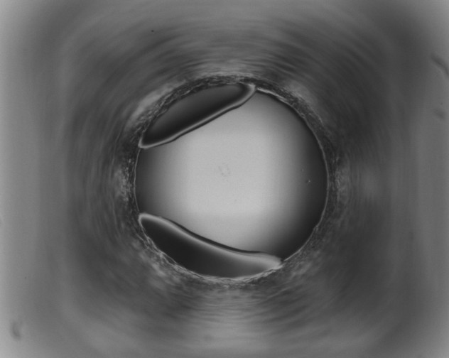 X0000099951064200805230956