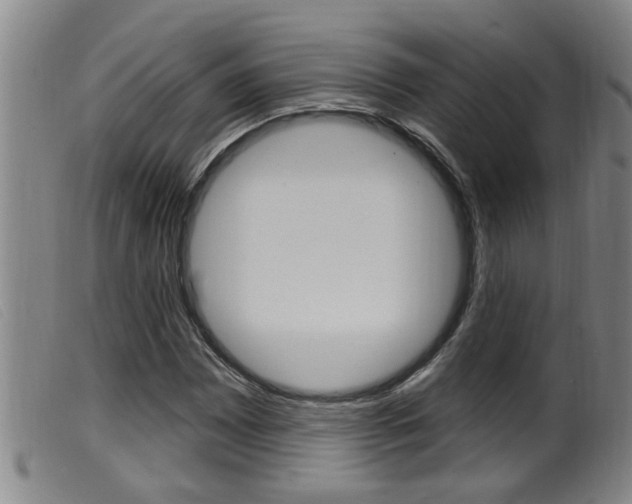 X0000099951065200805230956