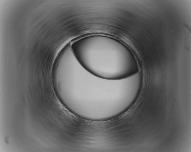 X0000099951068200805230956