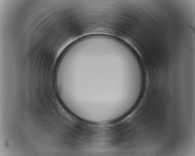 X0000099951069200805230956