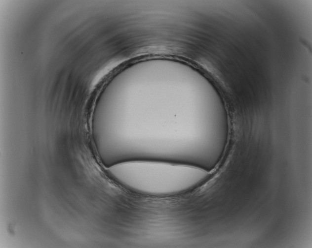 X0000099951070200805230956