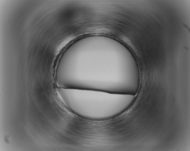 X0000099951071200805230956
