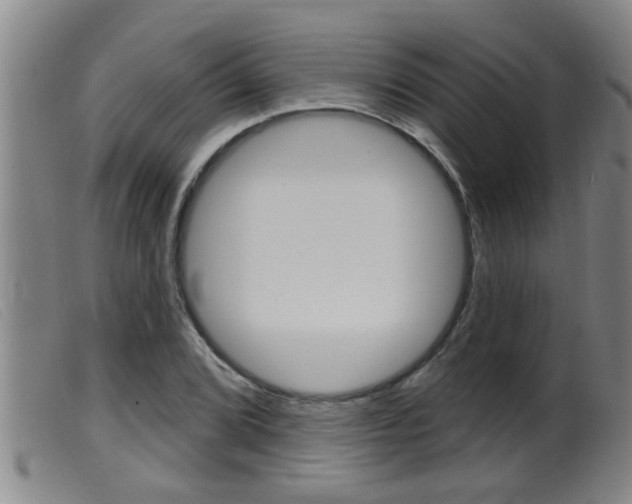 X0000099951072200805230956