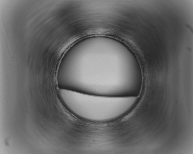 X0000099951073200805230956