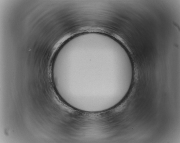 X0000099951074200805230956