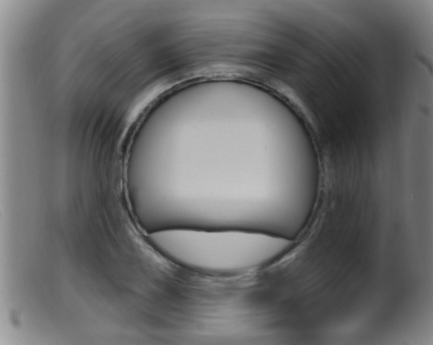 X0000099951075200805230956
