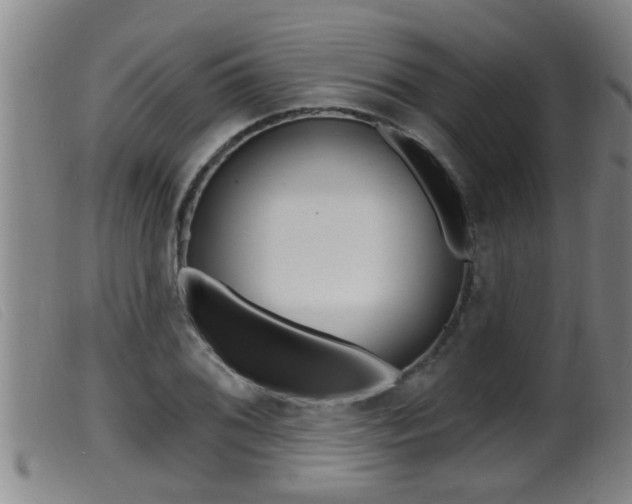 X0000099951076200805230956