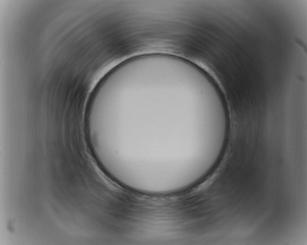 X0000099951077200805230956