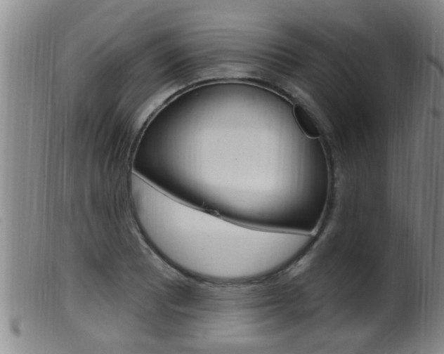 X0000099951081200805230956