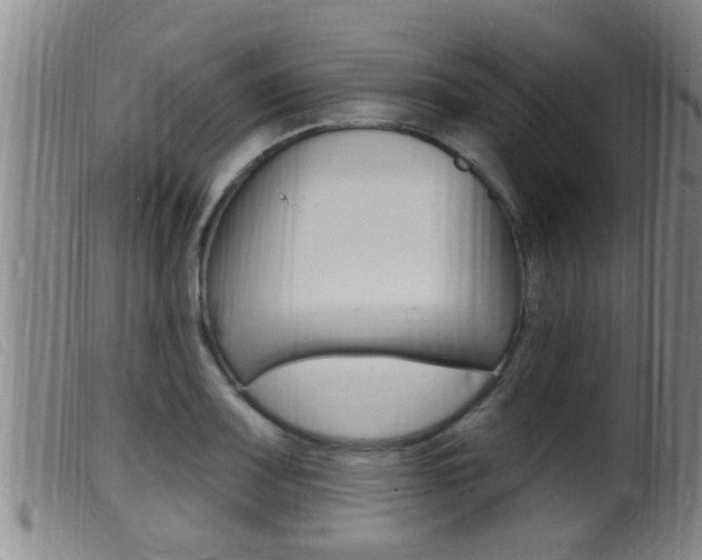 X0000099951083200805230956