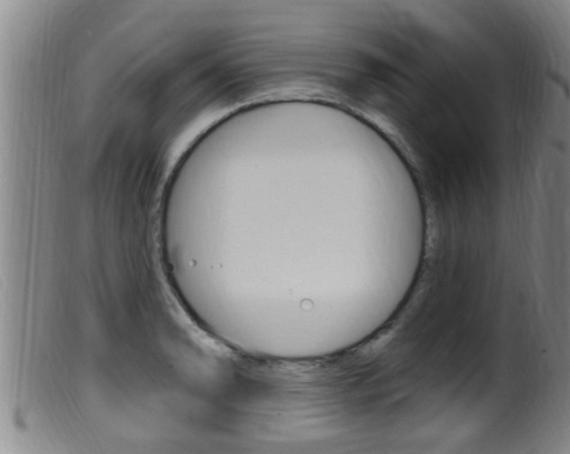 X0000099951086200805230956