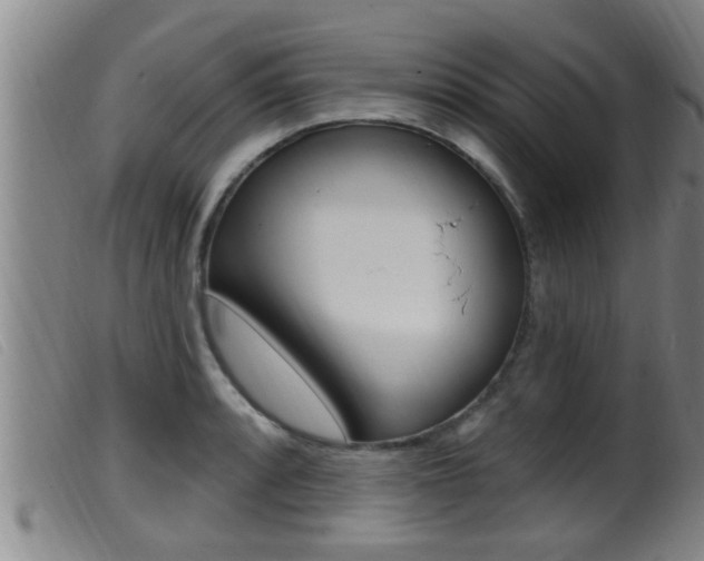 X0000099951088200805230955