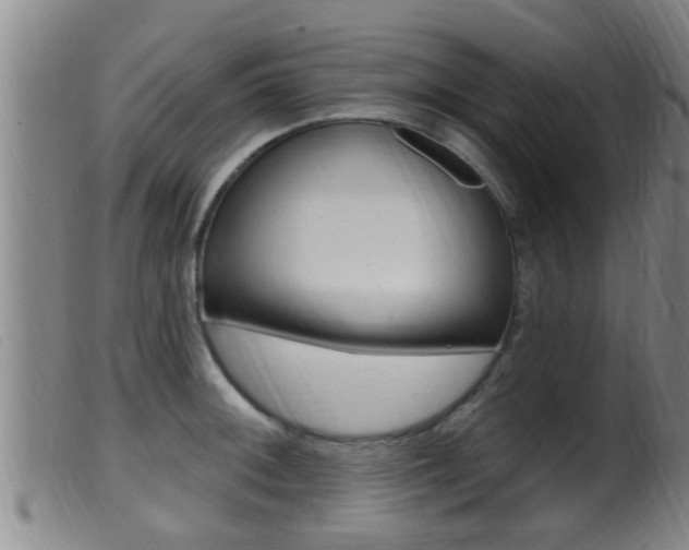 X0000099951092200805230955