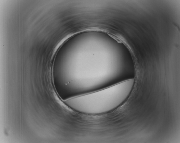 X0000099951100200805230955