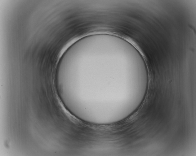 X0000099951101200805230955