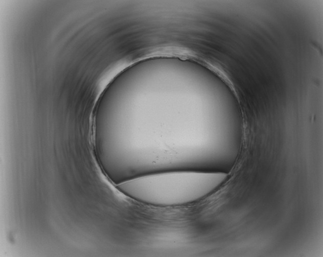 X0000099951103200805230955