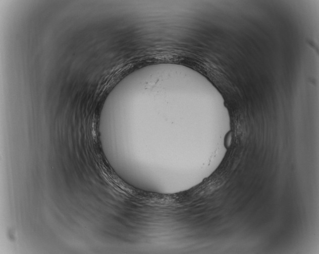 X0000099951106200805230955