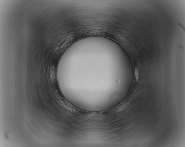 X0000099951107200805230955