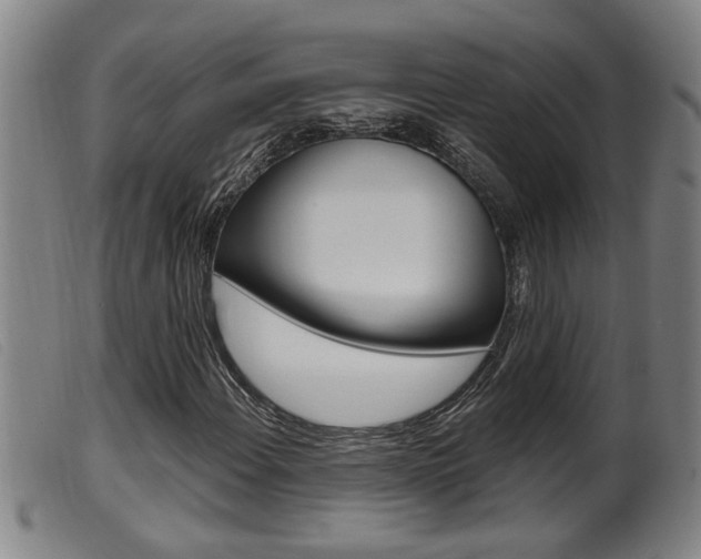 X0000099951108200805230955