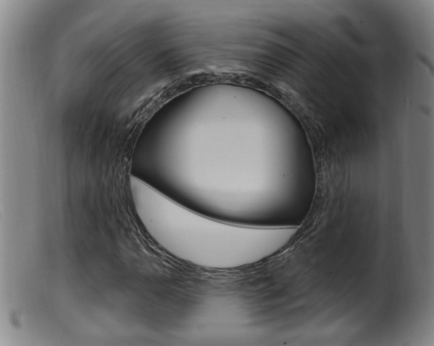 X0000099951110200805230955