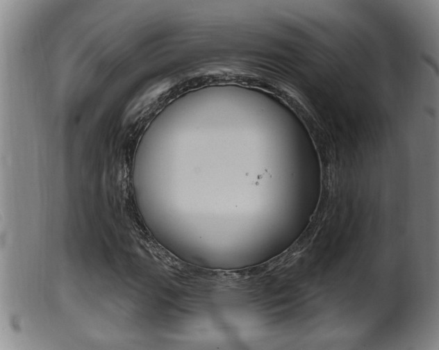 X0000099951111200805230955