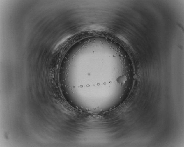 X0000099951112200805230955