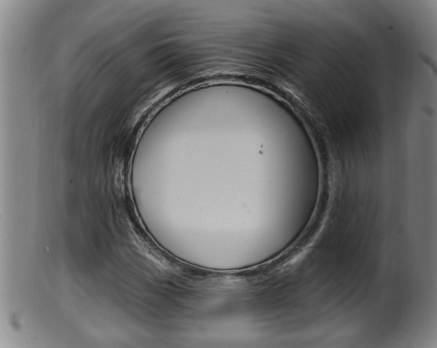 X0000099951113200805230955