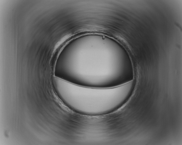 X0000099951114200805230955