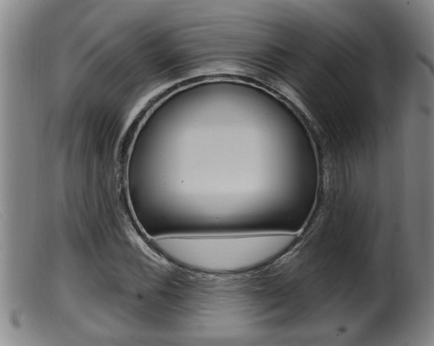 X0000099951116200805230955