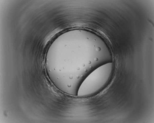 X0000099951117200805230955