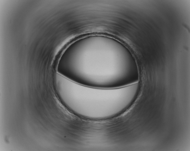 X0000099951118200805230955