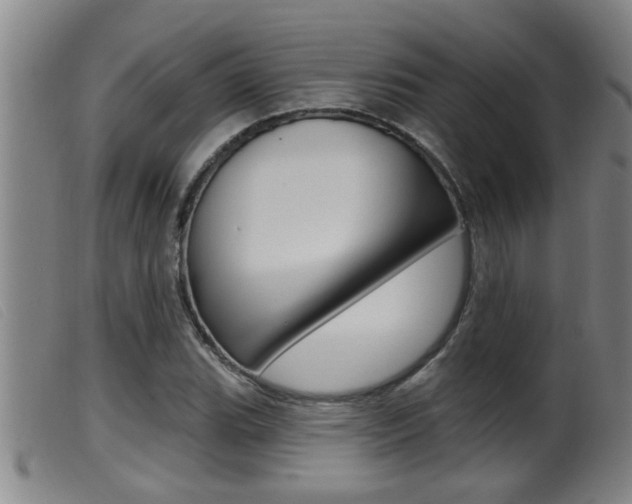 X0000099951119200805230955