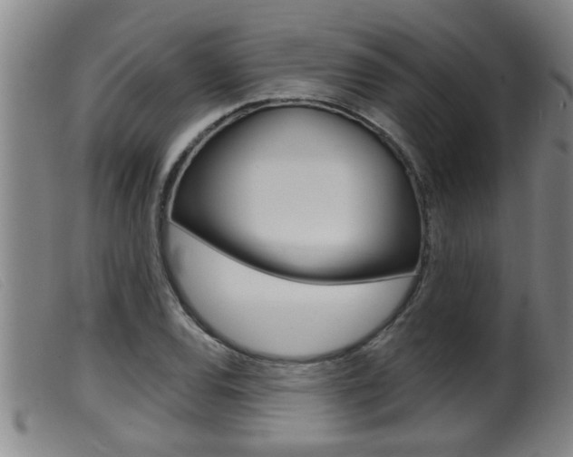 X0000099951120200805230955