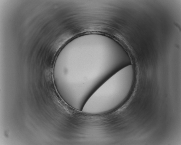 X0000099951121200805230955