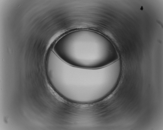 X0000099951122200805230955