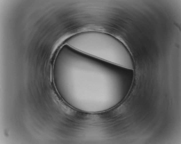 X0000099951123200805230955